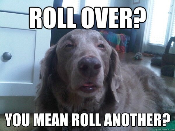 stoner dog rolls another blunt
