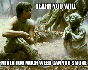 Yoda teaches luke about weed dank memes