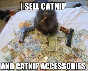 cat nip