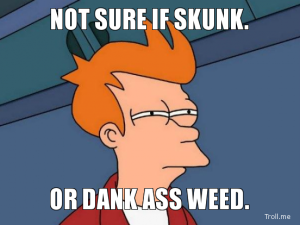 not-sure-if-skunk-or-dank-ass-weed