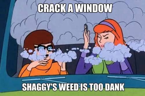 shaggy dank weed